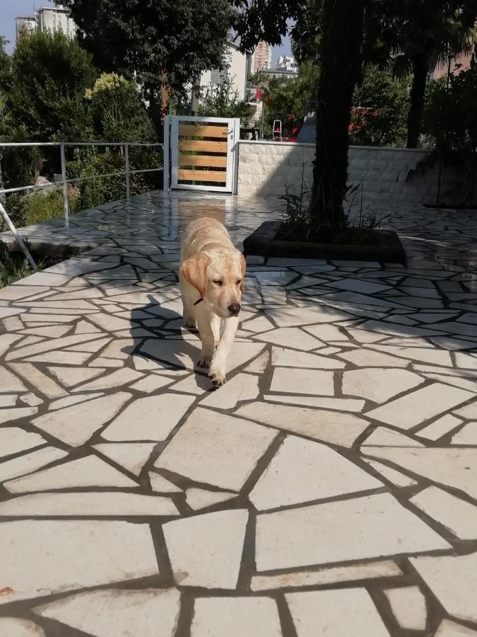 Apartmani Palmas Fiume Kültér fotó